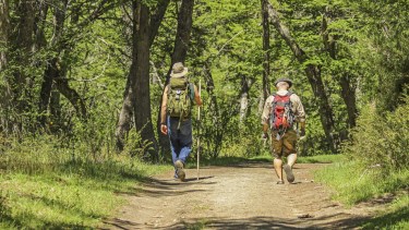 Se habilitaron más actividades y acampes en el Parque Nacional Lanín. (Foto: Archivo) 