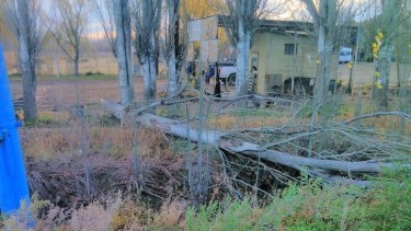 El accidente ocurrió esta mañana y dejó a varios vecinos sin energía eléctrica. (foto: gentileza)