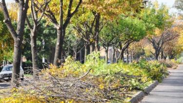 Los trabajos de la comuna continuarán hasta agosto próximo. Foto: gentileza.