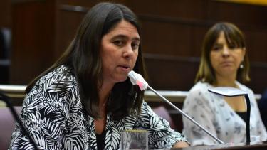 Marita Villone es diputada del MPN y fue dos veces intendenta de Loncopué. Foto: archivo.