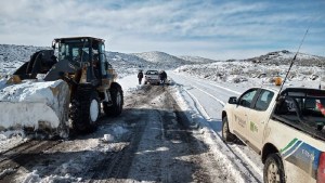 Lanzaron un proyecto de Gestión Eficiente de Flotas en Río Negro