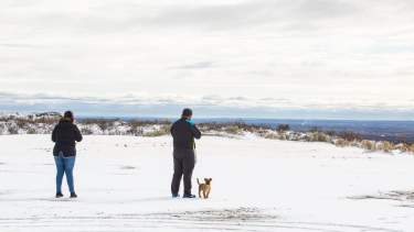La nevada se hace sentir en la ruta 6, cerca de Roca