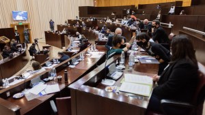 La Legislatura de Neuquén repudió el uso de fotos de personas en sitios pornos