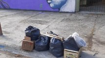 Imagen de El municipio de Viedma quiere el uso obligatorio de canastos de residuos