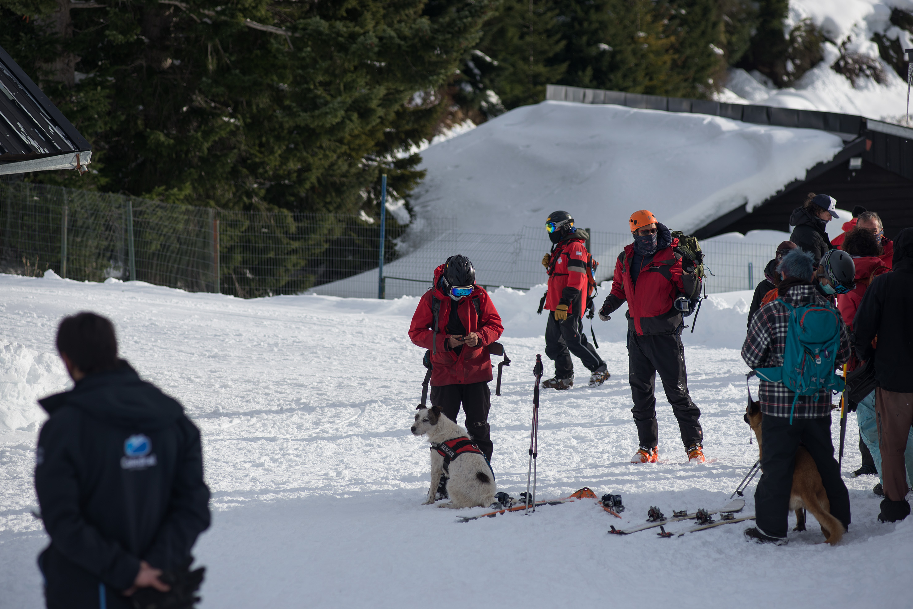 Los equipos que buscaron a los patrulleros arrastrados por la avalancha. Foto: Marcelo Martinez