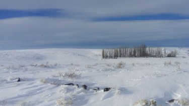 En la zona la nieve acumulada supera el metro de altura. (foto: gentileza)