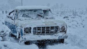 La sorprendente historia detrás de una foto en la nevada en el norte neuquino