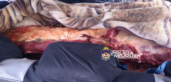 La Policía de Neuquén decomisó 100 kilos de carne en el cruce del puente Balsa las Perlas. (Foto: Gentileza).