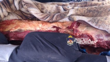 La Policía de Neuquén decomisó 100 kilos de carne en el cruce del puente Balsa las Perlas. (Foto: Gentileza).