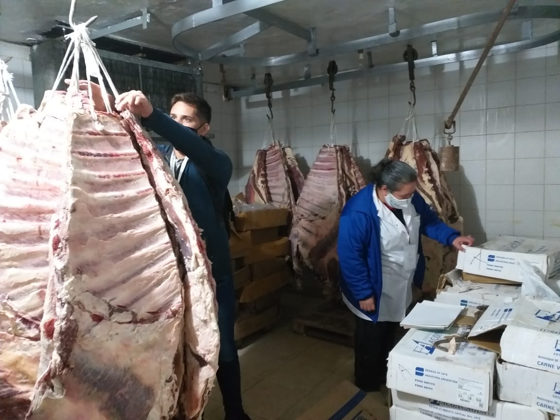 En total se calcula unos mil kilos de carne vacuna con hueso. Foto: Prensa municipal.