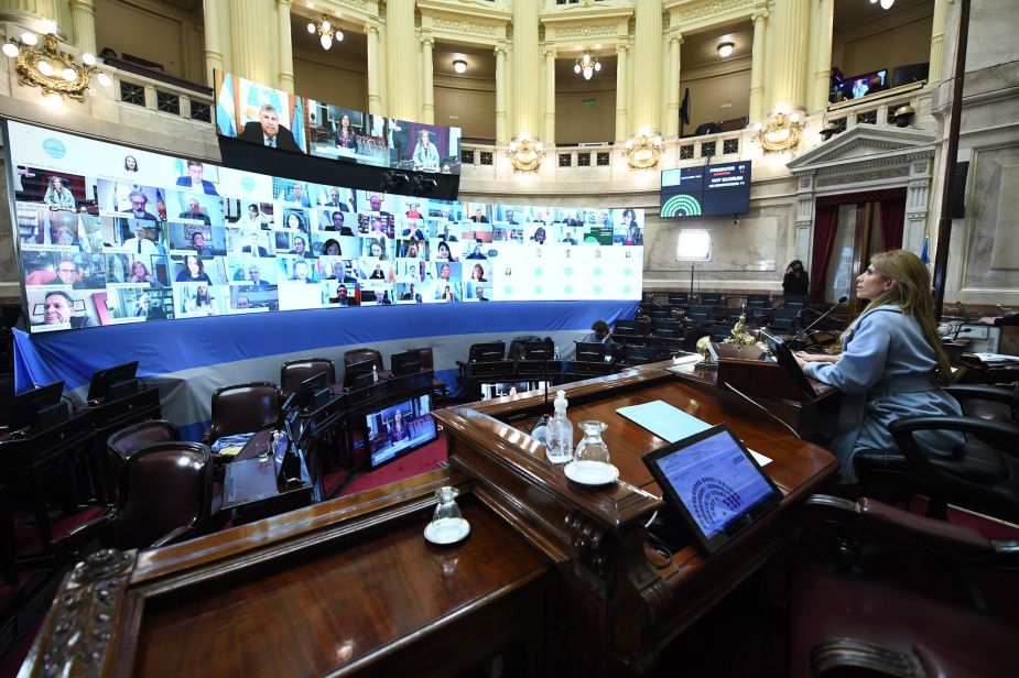 El Senado debatirá hoy varios proyectos en una sesión especial por videoconferencia. Foto: Senado de la Nación.