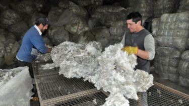 Prolana habilitó a 33 comparsas de equilas y 18 centros de acopio y acondicionamiento de lana. (Foto: José Mellado)