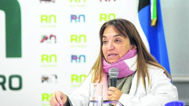 La doctora Mercedes Iberó, secretaria de Relaciones Institucionales del Ministerio de Salud rionegrino, informa el parte diario. (Foto: Prensa Gobierno de Río Negro)