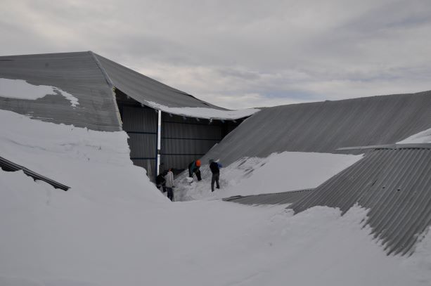 Los techos no resistieron el peso de la nieve. (Foto: José Mellado)