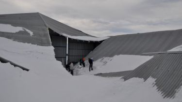 Los techos no resistieron el peso de la nieve. (Foto: José Mellado)