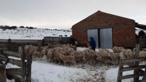Están dadas las condiciones para que Río Negro declaré la Emergencia Agropecuaria