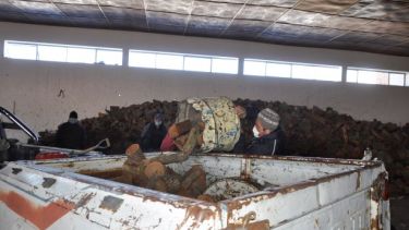 La leña no pueda faltar en el campo... (Foto: José Mellado)