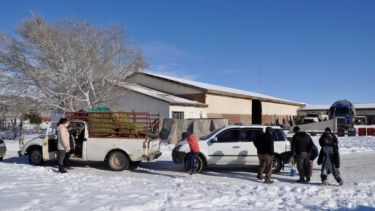 Los campesinos llegan para los accesos a buscar alimentos, combustible, etc. (foto: José Mellado)