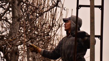 Trabajadores rurales reclaman por el pago del adicional de zona desfavorable. (Foto Néstor Salas)