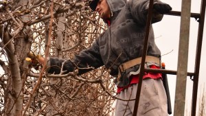 Rurales manifestarán en Regina por el adicional de zona desfavorable