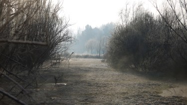 Las heladas que se registraron esta mañana en la región.   Foto: Juan Thomes