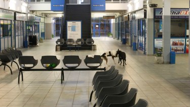 La terminal de Roca, entre la soledad y la supervivencia