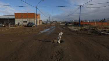 Continúan los problemas de cloacas en barrios de Roca