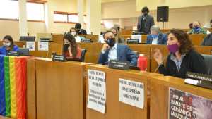 Cautela por la tasa por pandemia que propone Gaido en Neuquén