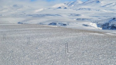 El tendido eléctrico rodeado de nieve.  Foto: Prensa EPEN