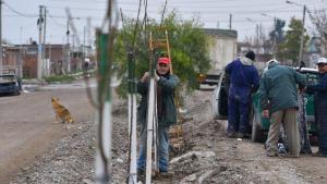 Viedma: el municipio plantó más de 200 árboles en el barrio Lavalle