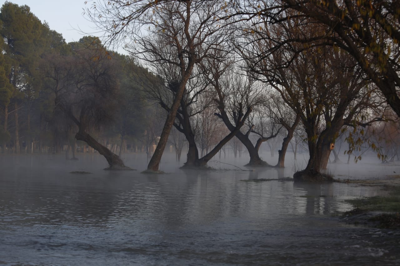 La crecida del río dejó bajo agua varios caminos de la zona cercana a Apycar. (fotos: Juan Thomes)
