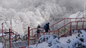 En tres días se vendieron casi 12.000 pasajes a Bariloche