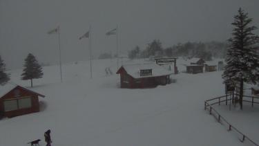 El cerro Chapelco mostraba ayer una imagen idílica. (Cerro Chapelco)