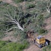 Imagen de Política ambiental en el mundo y en Argentina