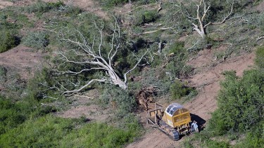 Política ambiental en el mundo y en Argentina