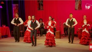 Empieza la función: «Viva el Flamenco»