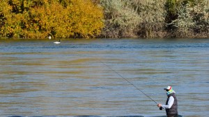 Hasta el 1 de noviembre rige la veda de pesca en el río Negro