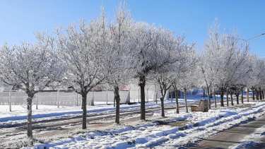En Los Menucos el frío también se hizo sentir. -10 grados. (foto: Hugo Munóz)