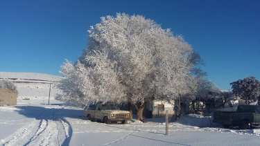 En Clemente Onelli la mínima fue de -13. Se congeló todo. (foto: gentileza)