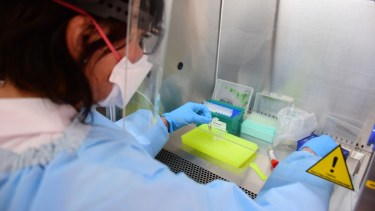 Coronavirus en Río Negro: 60 nuevos casos y 26 altas en la jornada