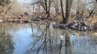 Es la segunda vez en lo que va del mes que el agua inunda los  patios en barrio Confluencia. Foto: Yamil Regules