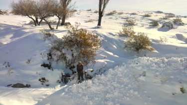 La nieve cubre un extenso sector de la Región Sur rionegrina. En partes supera los 60 cm. (foto: gentileza)