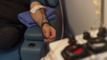 El plasma contiene anticuerpos que ayudan a la recuperación. No es la cura al coronavirus
