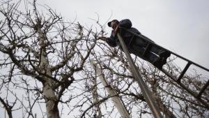 «Nación tiene una gran deuda con los trabajadores rurales», aseguran desde Uatre