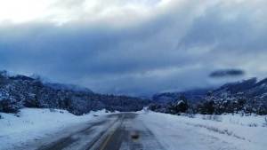 Estado de rutas: 40 con precaución