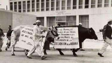 Una de las manifestaciones frente a la embajada estadounidense en La Habana.