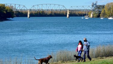 Las caminatas, claves para combatir el colesterol. 