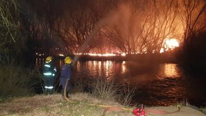 Bomberos de Centenario lograron controlar un gran incendio en el paseo costero