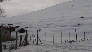 Viajó del campo a Bariloche y no puede volver para alimentar a sus animales