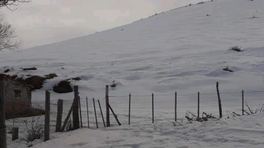 María Ester no sabe en qué condiciones encontrará a sus animales. Foto: gentileza